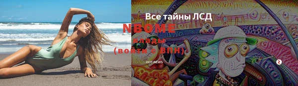 шишки Алзамай