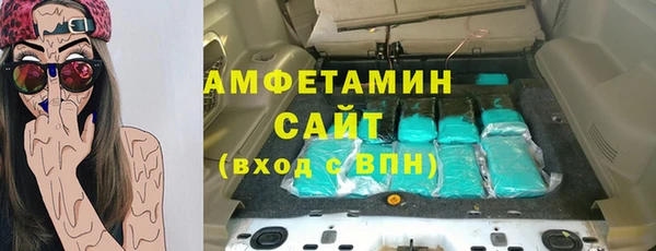 шишки Алзамай