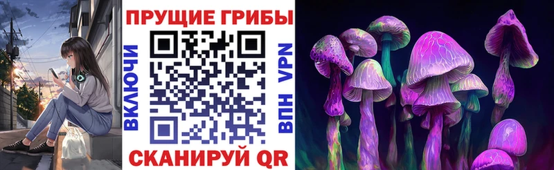 купить наркотик Мичуринск Псилоцибиновые грибы ЛСД